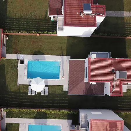 Olympus Paradise 2 سكوتينا