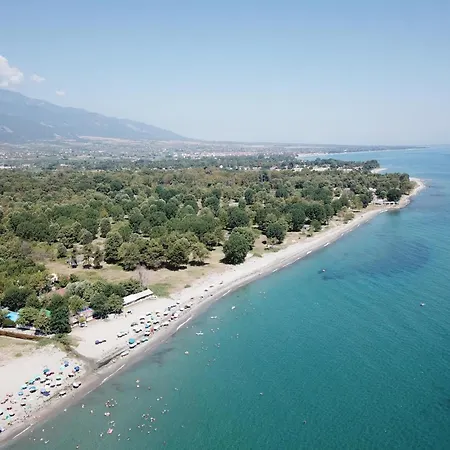 Olympus Paradise 2 سكوتينا