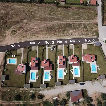 Olympus Paradise 2 سكوتينا