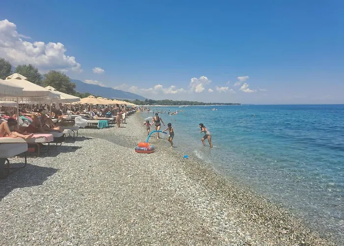 Olympus Paradise 2 *