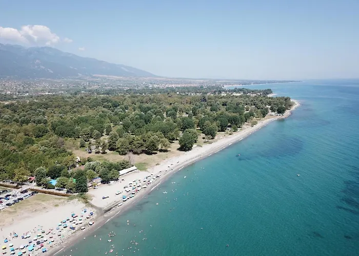 Olympus Paradise 2 Skotina